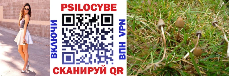 MEGA зеркало купить закладку Конаково Галлюциногенные грибы Psilocybine cubensis