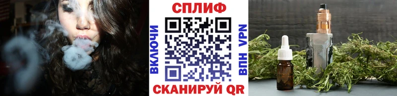 OMG ONION  Конаково  Каннабис сатива 